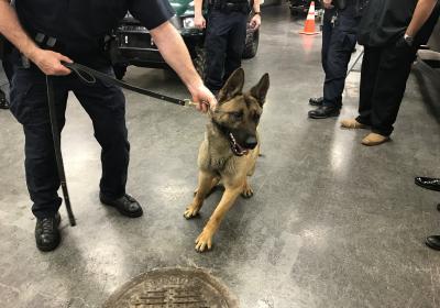 Sonitrol of Indianapolis Donates K-9